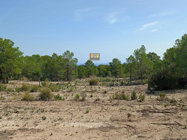 Terreno en venta en la Marina Baixa, Valencia