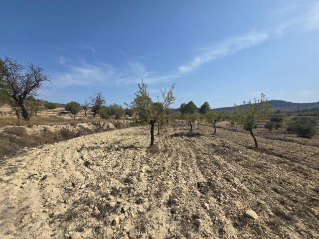 Terreno en venta en la Marina Baixa, Valencia