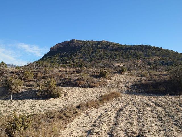 Terreno en venta en la Marina Baixa, Valencia