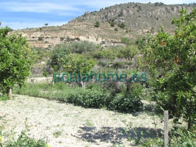 Terreno en venta en la Marina Baixa, Valencia