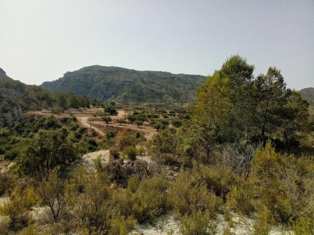 Terreno en venta en la Marina Baixa, Valencia