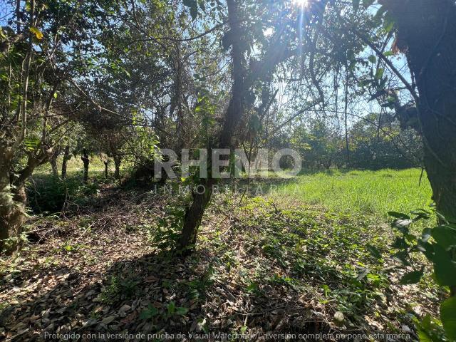 Terreno en renta en Tuxpan, Veracruz