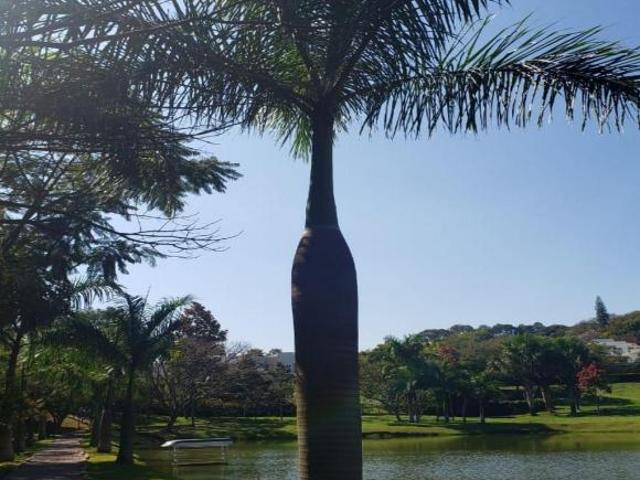 Terreno venda em Região Imediata de Jundiaí, Itupeva