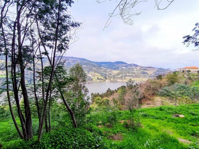 Terreno venda em Resende, Viseu