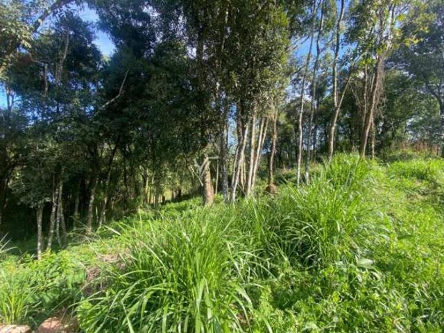Terreno venda em Região Geográfica Imediata de Bento Gonçalves, Garibaldi