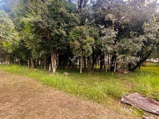 Terreno venda em Região Geográfica Imediata de Bento Gonçalves, Bento Gonçalves