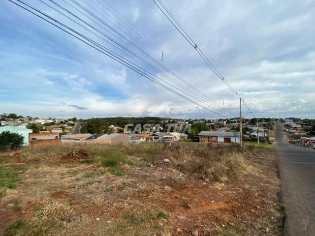 Terreno venda em Passo Fundo