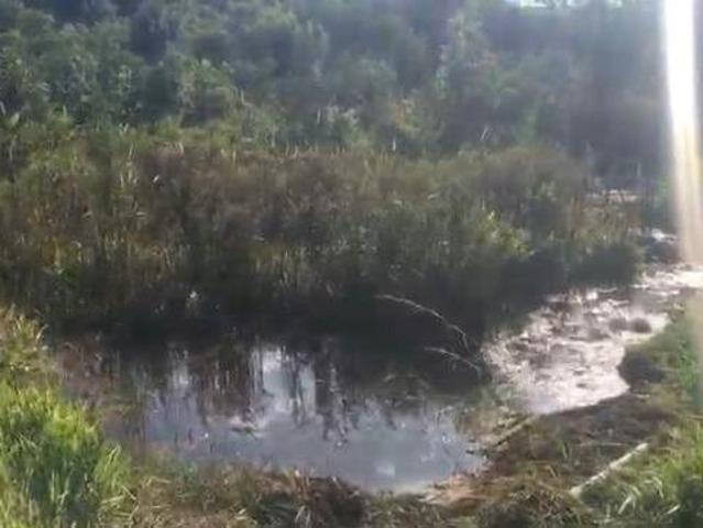 Terreno venda em Jardim Brasil, Catanduva