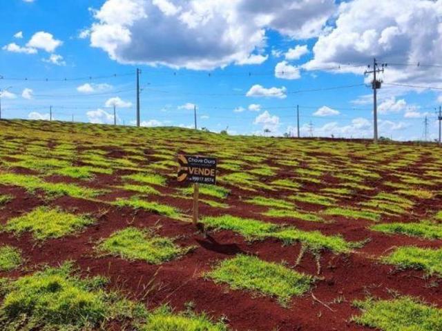 Terreno venda em Vila Tolentino, Cascavel