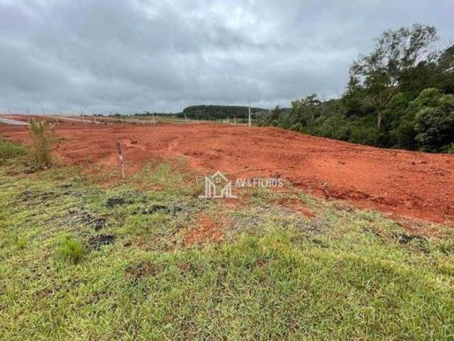 Terreno venda em Jardim João Paulo II, Campina Grande do Sul