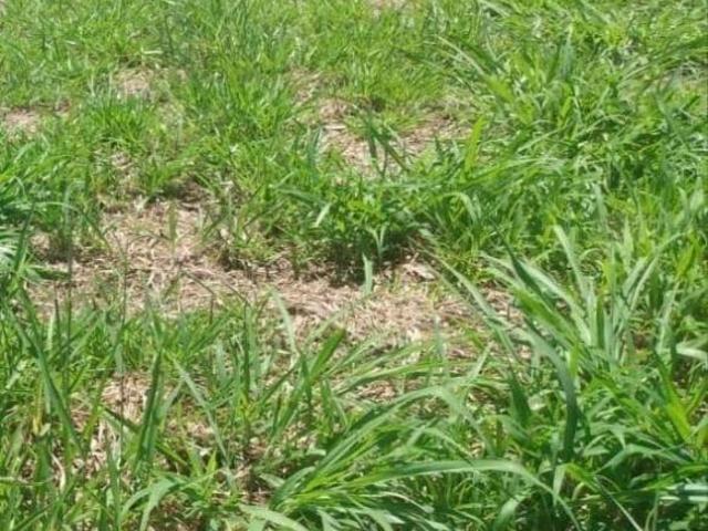 Terreno venda em Região Imediata de Piracicaba, Região Metropolitana de Piracicaba