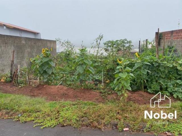 Terreno venda em Cianorte, Região Geográfica Intermediária de Maringá