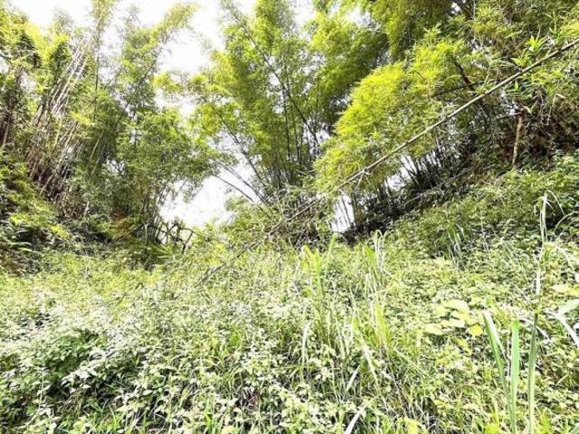 Terreno venda em Região Imediata de Santos, Região Metropolitana da Baixada Santista