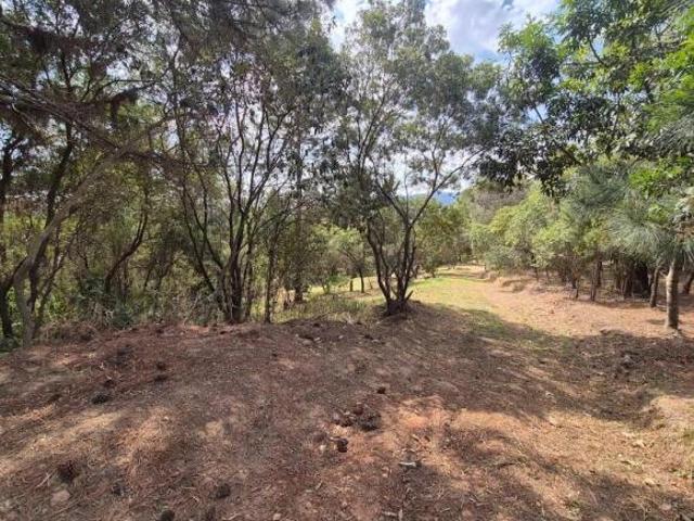 Terreno venda em Ribeirão dos Porcos, Atibaia