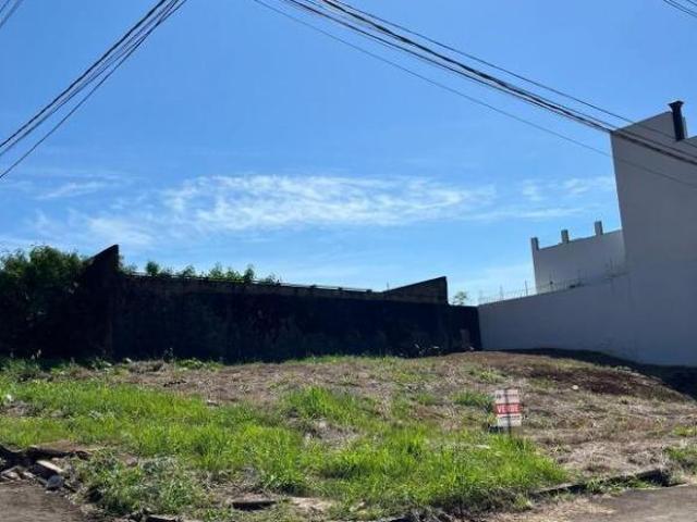 Terreno venda em Faxinal, Região Geográfica Intermediária de Londrina