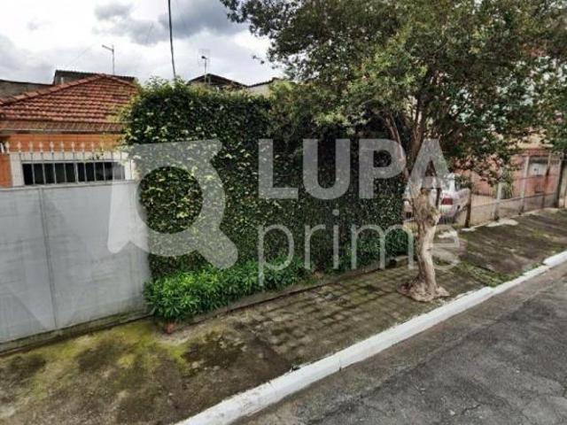 Terreno venda em Jardim Modelo, São Paulo