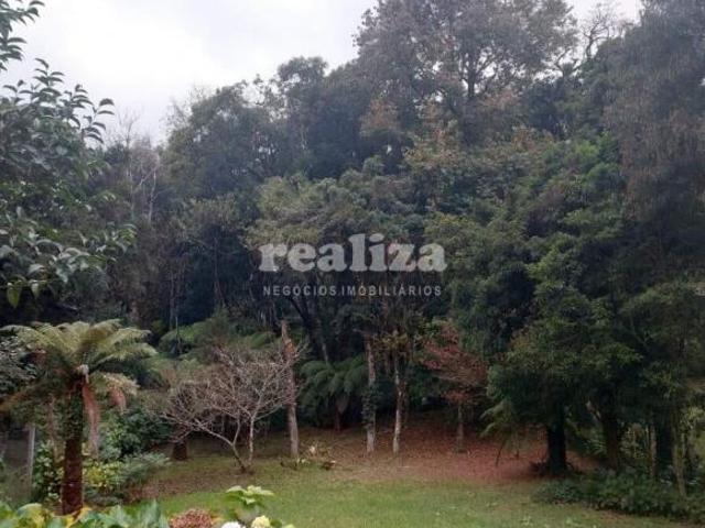 Terreno venda em Gramado