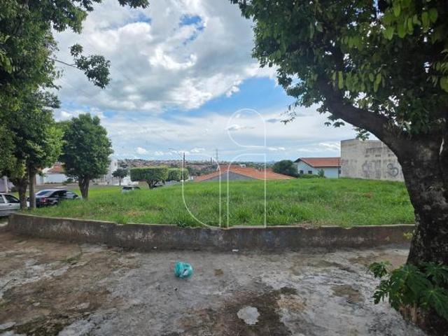 Terreno venda em Parque São Jorge, Marília