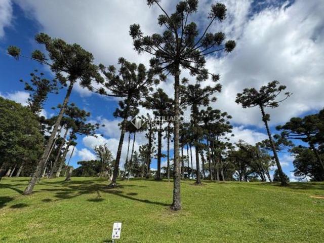 Terreno venda em Região Geográfica Imediata de Caxias do Sul, Canela