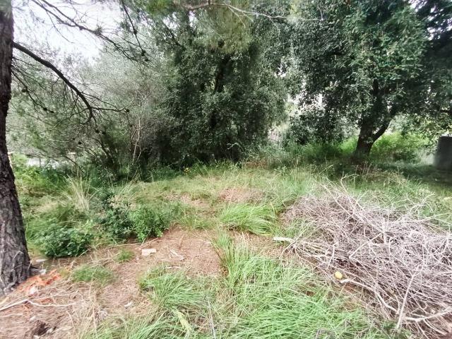 Terreno en alquiler en el Mercadal, Anoia