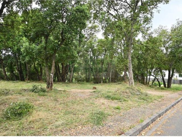 Terreno en alquiler en Calonge i Sant Antoni, Baix Empordà