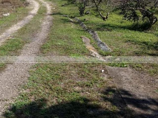 Terreno en venta en Papantla, Veracruz