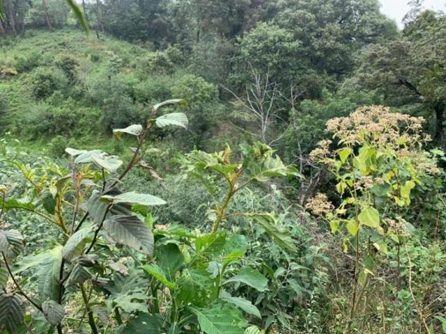 Terreno residencial en venta en Lindavista