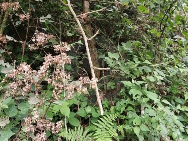 Terreno residencial en venta en Lindavista