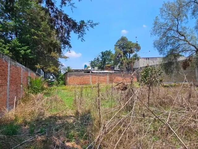 Terreno en venta en Chiautla, Estado de México