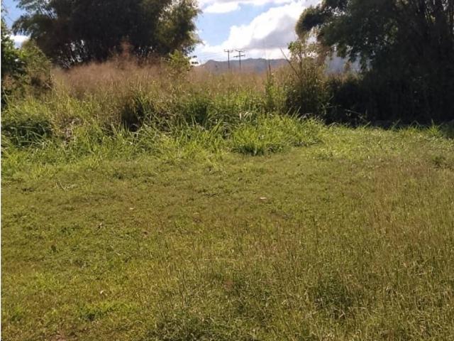 Terreno en venta en Bejuma, Municipio Bejuma
