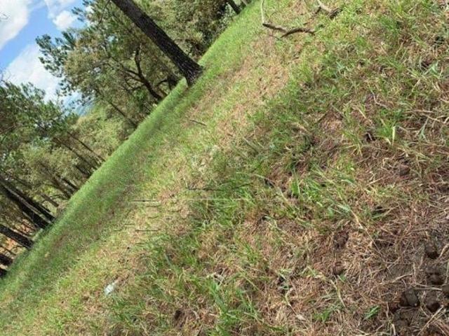 Terreno venda em Região Geográfica Imediata de Goiás - Itapuranga, Nova Crixás