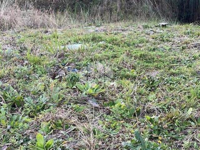 Terreno venda em Região Geográfica Imediata de Bento Gonçalves, Bento Gonçalves