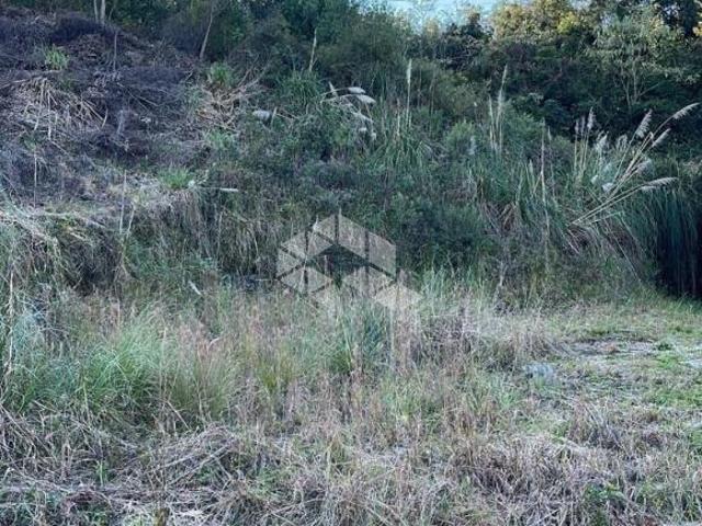 Terreno venda em Região Geográfica Imediata de Bento Gonçalves, Bento Gonçalves