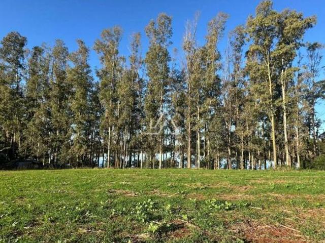 Terreno venda em Nicolau Vergueiro