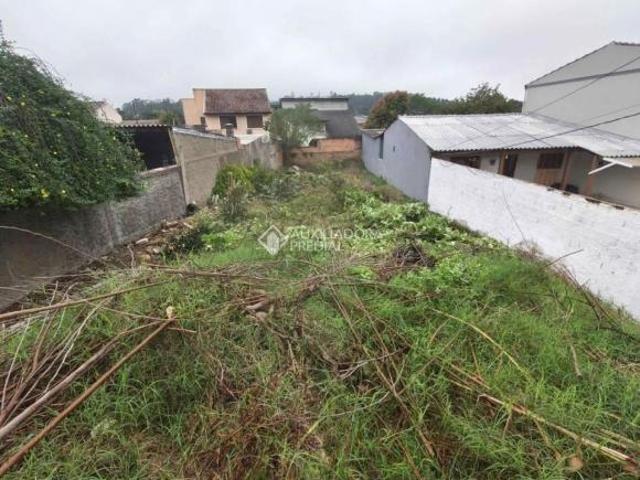 Terreno venda em Campo Novo, Porto Alegre