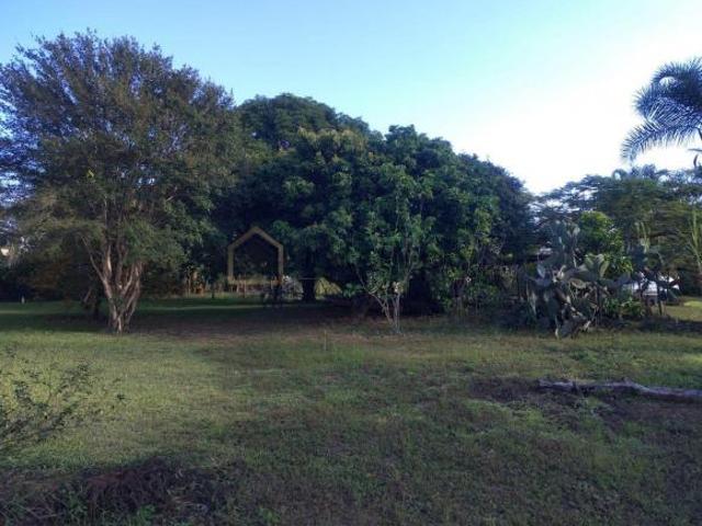 Terreno venda em Charqueada