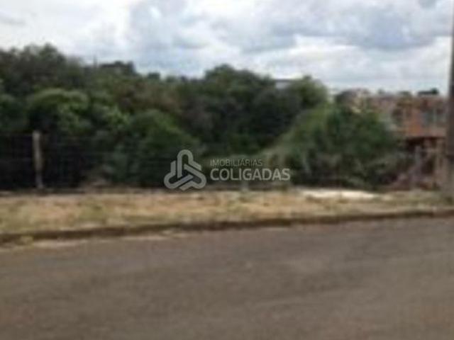 Terreno venda em Passo Fundo