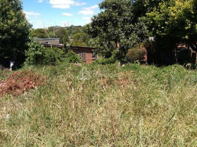 Terreno venda em Passo Fundo