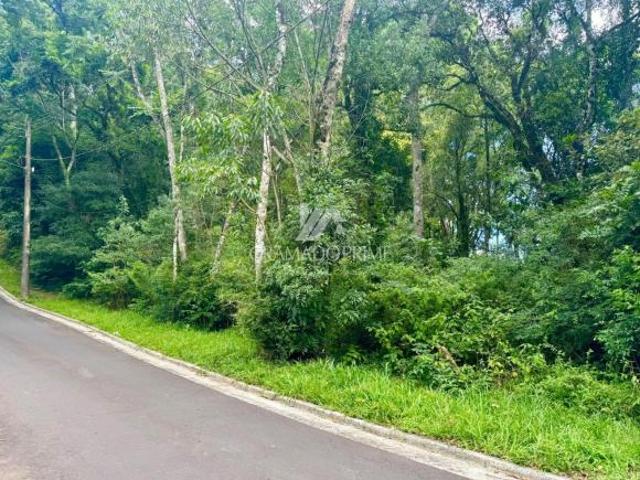 Terreno venda em Gramado
