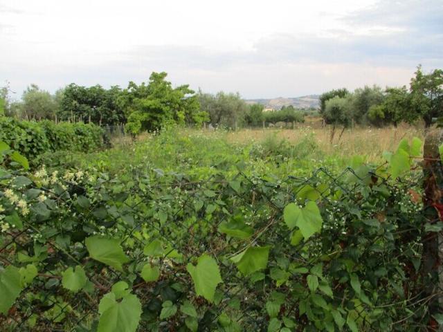 Terreno in vendita a Giulianova, Abruzzo