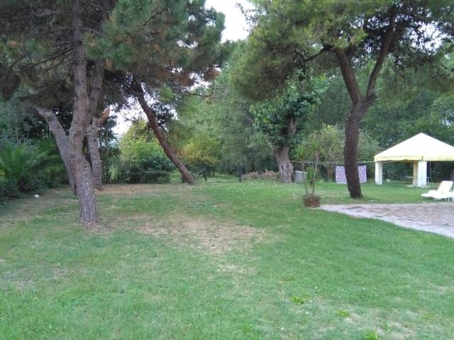 Terreno in vendita a Mosciano Sant'angelo, Abruzzo