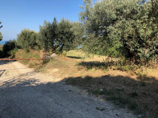 Terreno in vendita a Montone, Mosciano Sant'Angelo