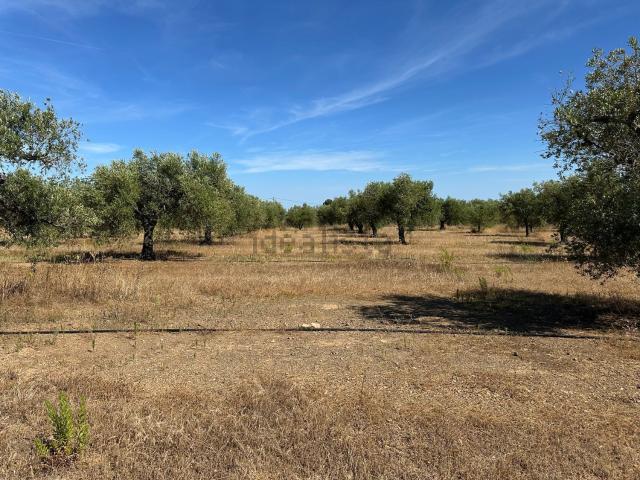 Terreno en venta en Baix Camp, Catalunya
