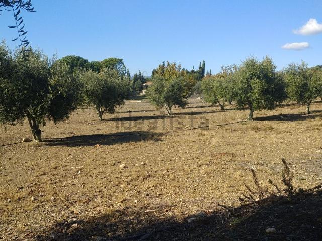 Terreno en alquiler en Mare Molas, Baix Camp
