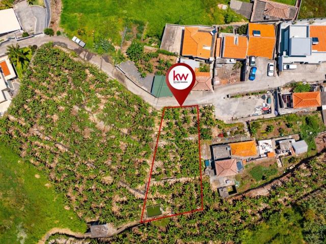Terreno venda em Pico da Cruz, Ribeira Brava