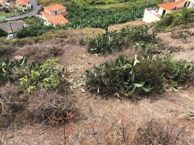 Terreno venda em Pico da Cruz, Ribeira Brava
