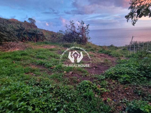 Terreno venda em Pico da Cruz, Ribeira Brava
