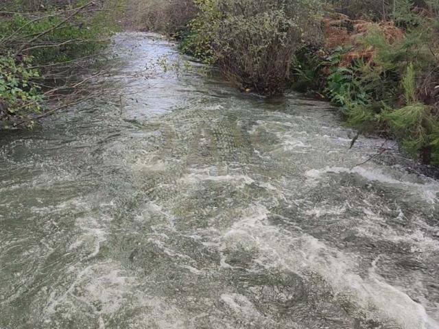 Terreno venda em Castelo Branco