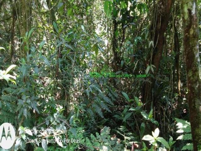 Terreno venda em Juquitiba