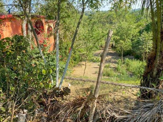 Terreno Ricardo Flores Magón